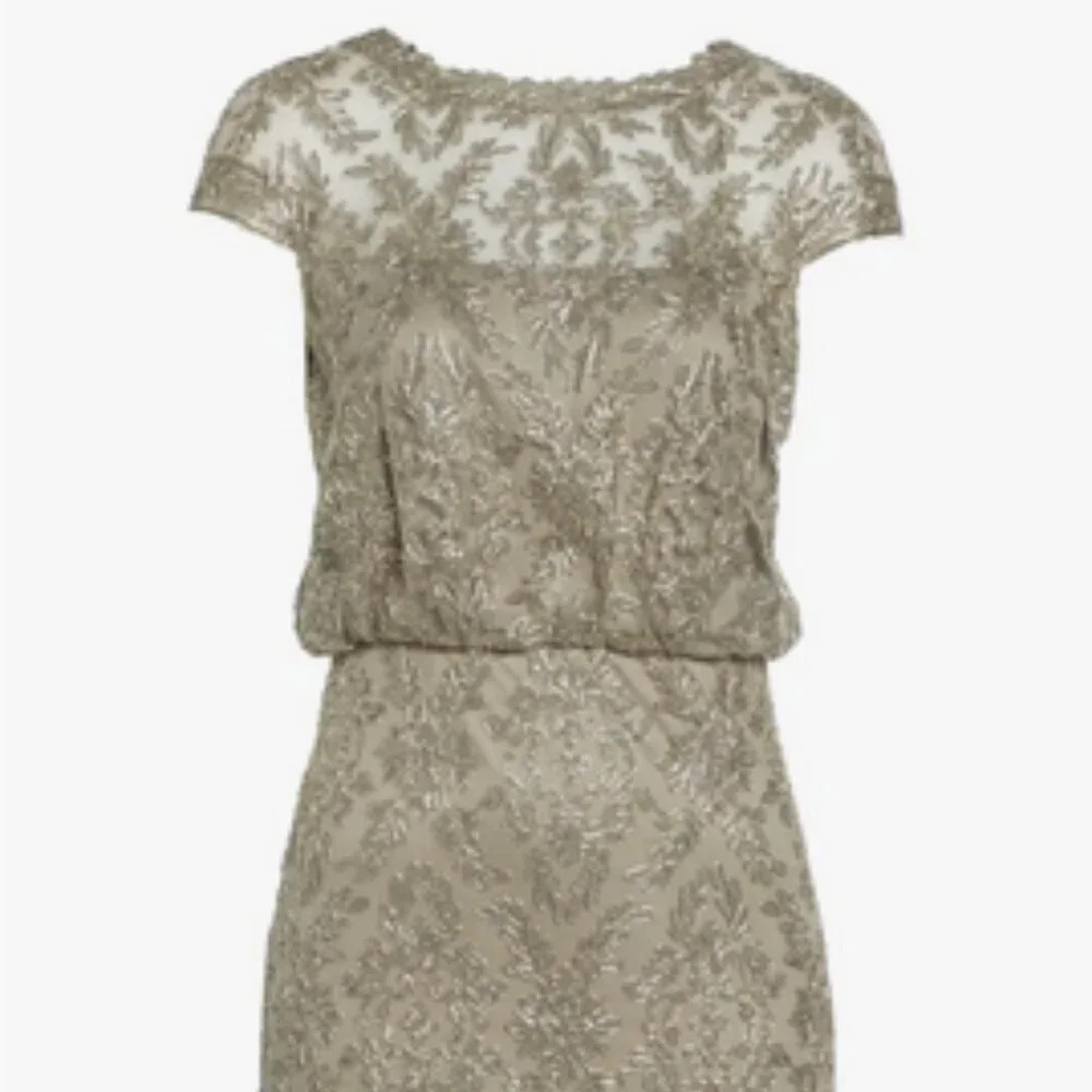 Tadashi Shoji Embroidered Metallic Blouson Dress in Smoke Pearl. Sz: 10 - Picture 2 of 10